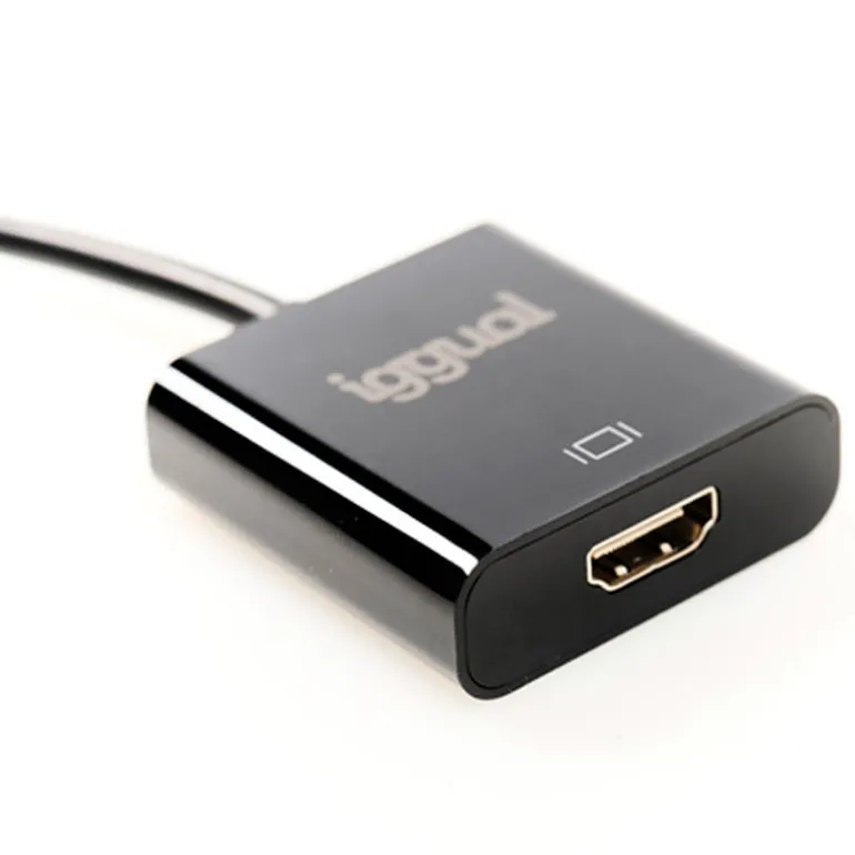 Adaptador iggual DisplayPort (M) A VGA (H)