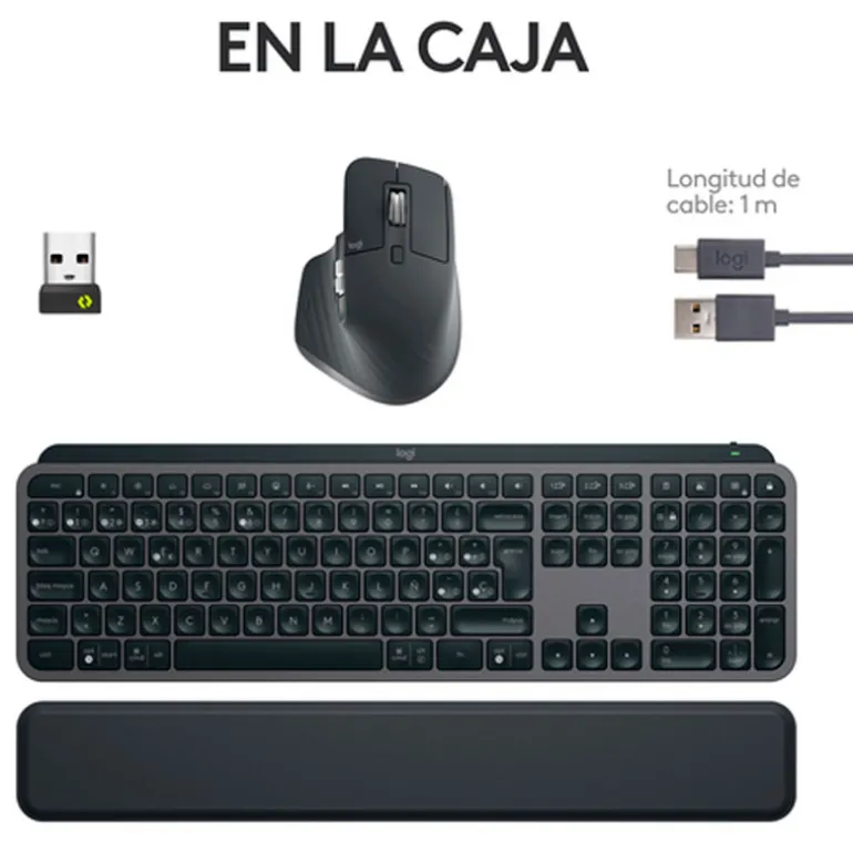 Combo Teclado/Ratón Logitech MX Keys S Combo Grafito