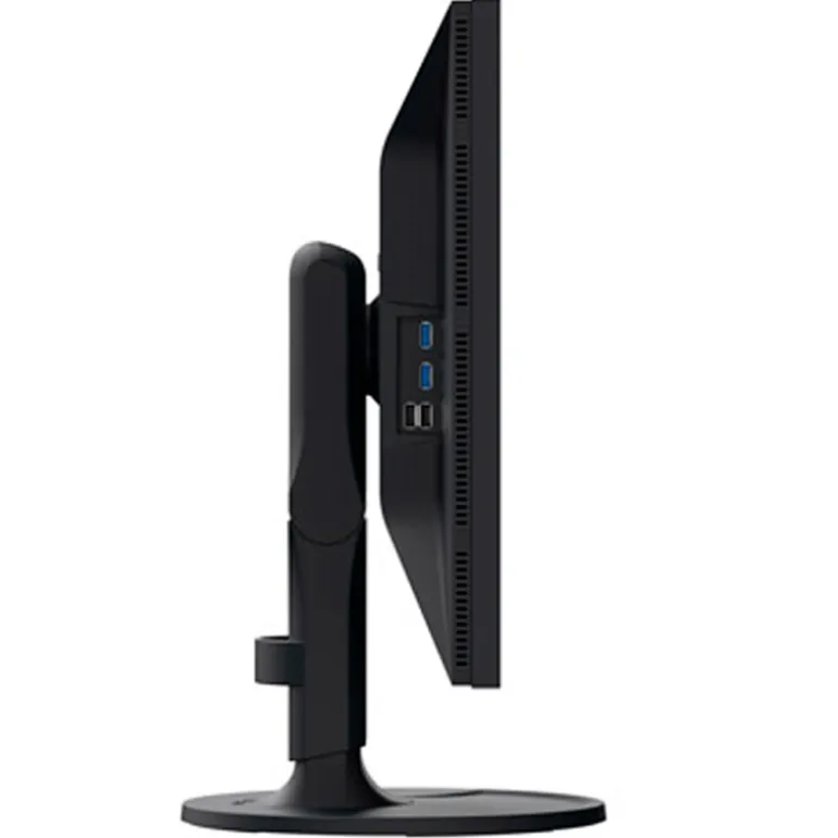 Monitor EIZO ColorEdge CS2400R 24" WUXGA IPS 60Hz 14ms USB-C Negro 16:10