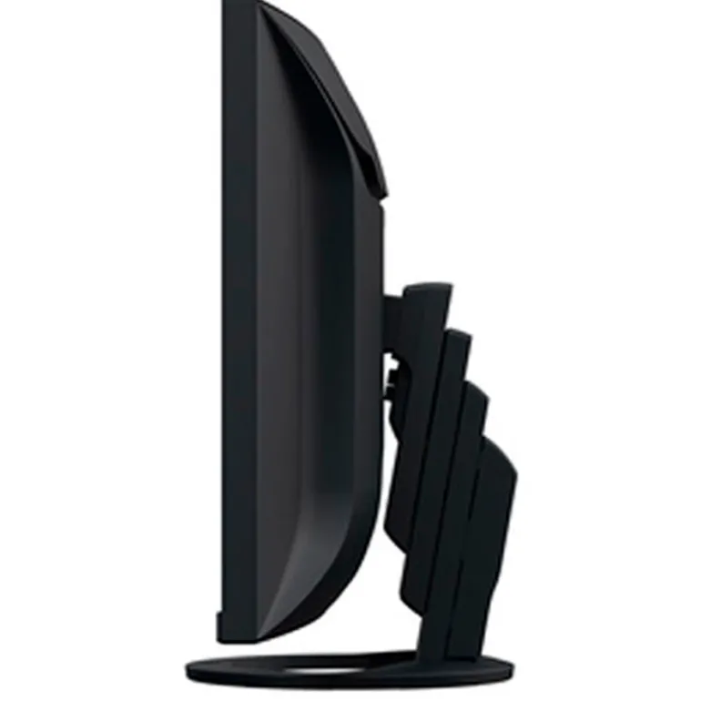 Monitor EIZO FlexScan EV3895-BK 38" UWQHD IPS 60Hz 5ms Negro 24:10