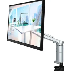 Monitor Eizo FlexScan FLT 24