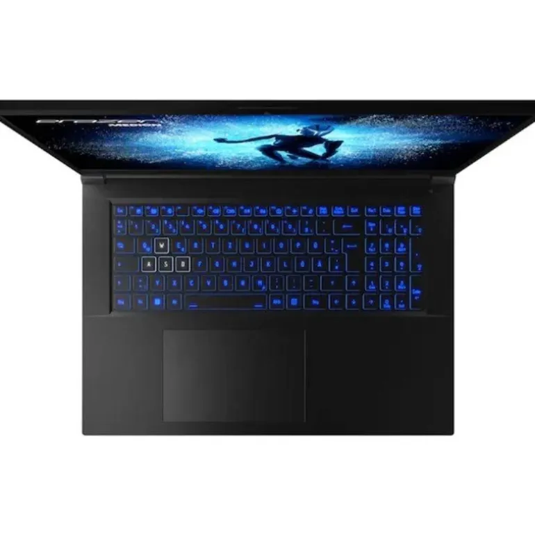 Portátil Medion Defender P40 MD62539 i7-13700HX RTX 4060 16GB 1TB 17.3" FreeDOS
