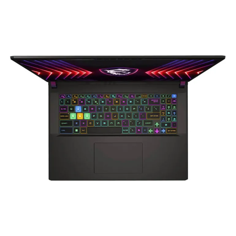 Portátil MSI Vector 17 HX A14VIG-684ES i9-14900HX RTX 4090 32GB 1TB 17" W11H
