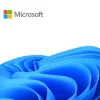 Software Microsoft Windows 11 IoT Enterprise LTSC 2024