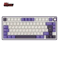 Teclado para Mac y Windows Royal Kludge RKS98 ISO-ES Hot-Swappable Switch Brown Wireless Blackberry