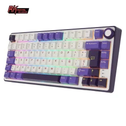 Teclado para Mac y Windows Royal Kludge RKS98 ISO-ES Hot-Swappable Switch Brown Wireless Blackberry